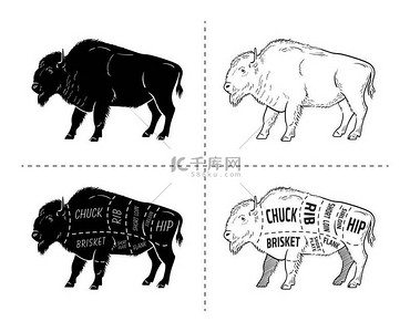 美食鱼背景图片_削减野牛设置。海报屠夫图-野牛。老式印刷手工绘制.