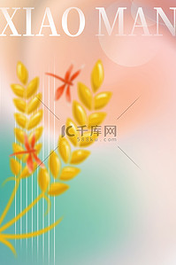 小满麦穗蜻蜓红绿渐变弥散简约热情