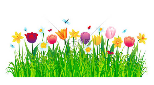 五颜六色的花背景图片_五颜六色的花，绿草，白色背景。矢量说明