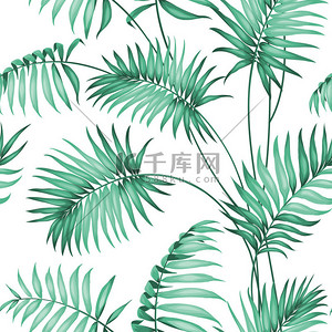 美容绿色背景背景图片_外用的棕榈叶.