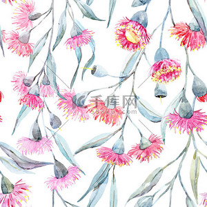 热带花卉背景背景图片_水彩桉树矢量模式