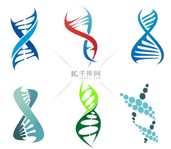 用于化学或生物学概念设计的 DNA 和分子符号集。
