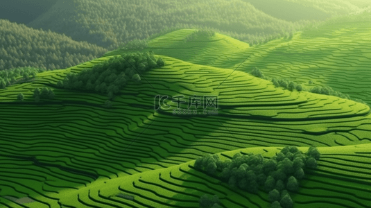 雨水毁坏的农田背景图片_绿色梯田农业自然背景