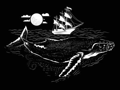 鲸鱼尾巴背景图片_鲸鱼在水面下的插图。上面的小船