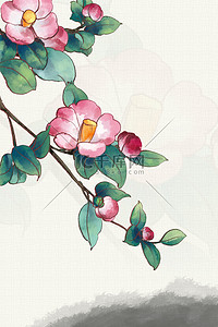 晒干的山茶果背景图片_山茶节山茶花淡黄中国风海报背景