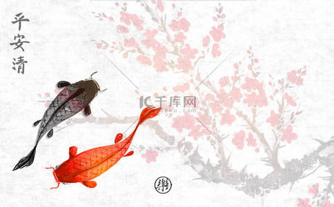 樱背景图片_樱花枝在开花和小红色和黑鱼, 媒介例证.