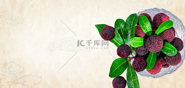 中国风树叶背景图片_中国风新鲜水果杨梅背景图片