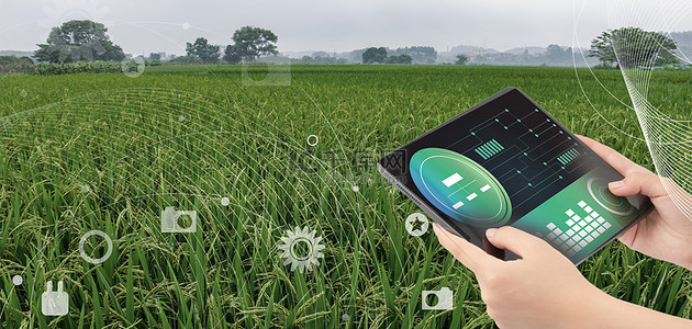 农业科技产业园背景图片_智能农业农业科技绿色简约背景