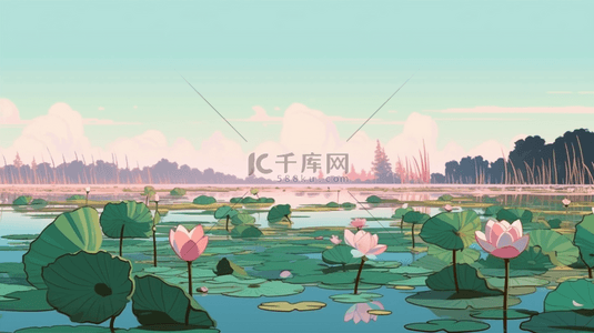 夏季荷花盛开的池塘大场景