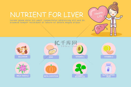 食品医疗背景图片_信息图表的肝脏