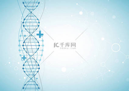 带有DNA分子的科学模板、壁纸或横幅。矢量说明.