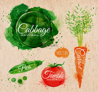 西红柿厨房背景图片_蔬菜水彩卷心菜，胡萝卜，番茄，豌豆卡夫