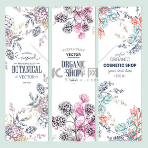 day背景图片_Floral banner collection