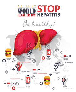 世界肝炎日矢量海报在现代平面设计的白色背景。7月28日