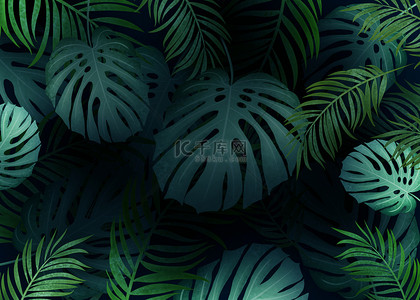 植物树叶深绿色棕榈叶背景