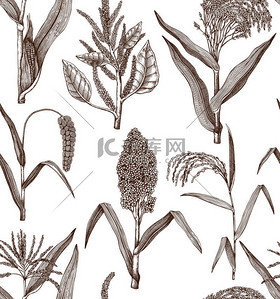 枯萎的作物背景图片_无缝的模式与作物草图