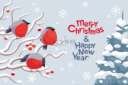 圣诞矢量背景图片_雪下滑稽的 Bullfinches 和萝罗树。矢量圣诞贺卡。圣诞节装饰, 海报, 横幅, 销售和其他冬季活动.