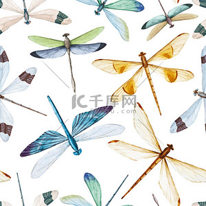 水彩蜻蜓图案