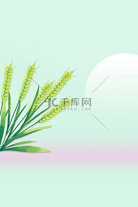 小满麦子绿色简约背景