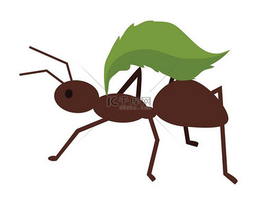 绿叶棕蚂蚁褐色蚂蚁绿叶蚂蚁带着叶子蚂蚁图标蚂蚁拿着叶子昆虫图标白蚁图标白色背景上平面设计的孤立物体矢量插图