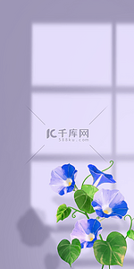 紫色抽象花卉背景图片_花卉与阴影蓝紫色花朵壁纸装饰