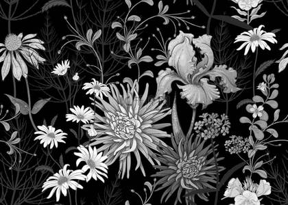 无缝的夏天图案与野花洋甘菊, 草药, 阿斯特, 虹膜。花卉背景印刷壁纸, 纸张, 纺织品, 面料。手绘草图。时尚插图。黑色和白色