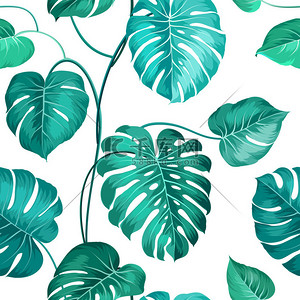 背景纹理叶子背景图片_外用的棕榈叶.