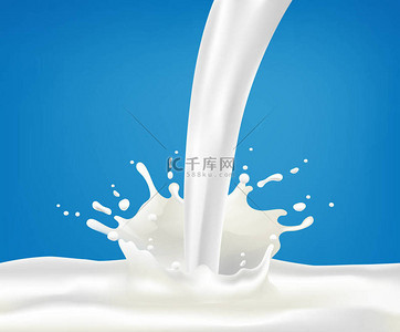 牛奶飞溅和倒入，白色的飞溅在蓝色的背景上，现实的健康饮料酸奶或奶油