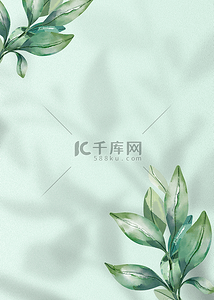清新时尚绿色背景图片_花卉阴影植物叶子水彩背景