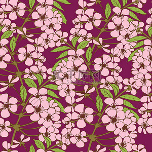 design背景背景图片_Cherry blossom seamless pattern. Sakura flowers vector design