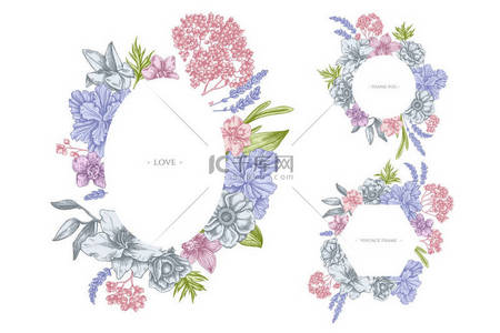 花框，花药茴香，薰衣草，迷迭香永恒，凤仙花，百合花，虹膜