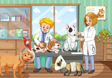 医疗宠物背景图片_两个兽医在动物医院工作
