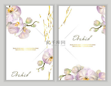 包装设计设计背景图片_一组带着白色背景的兰花的矢量横幅。贺卡、婚礼装饰品、邀请函、销售、包装模板。春夏设计。案文的位置.
