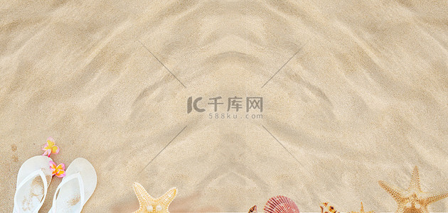 夏季贝壳海星摄影背景