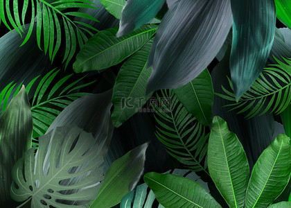 茂密植物背景图片_棕榈叶植物树叶背景