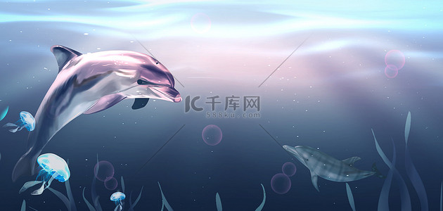 海背景图片_大海海豚水母蓝色