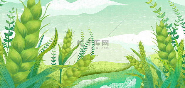 夏天绿色背景图片_小满小麦绿色卡通节气海报