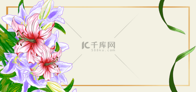 百合植株花朵花卉水彩植物背景