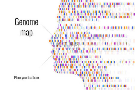 Dna测试信息图。矢量插图。基因组序列图谱。设计模板。背景，壁纸。条形码。大基因组数据可视化