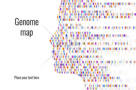 摇一摇小肉包壁纸背景图片_Dna测试信息图。矢量插图。基因组序列图谱。设计模板。背景，壁纸。条形码。大基因组数据可视化