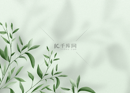 中文绿色背景图片_花卉阴影植物线条装饰背景