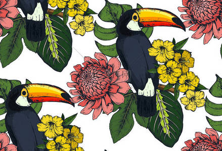 矢量无缝模式与成分的手绘制热带花卉和异国情调的鸟