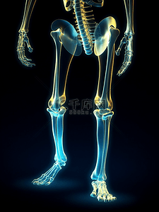 磕伤膝盖背景图片_人体骨骼透视图膝盖