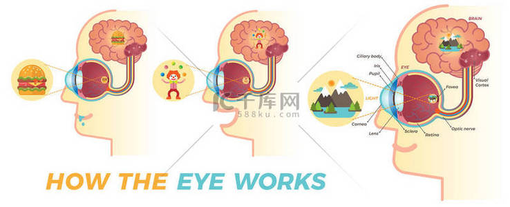 如何赚钱背景图片_眼睛是如何工作的插图