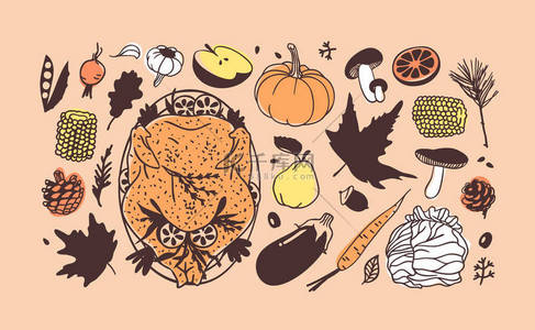 秋背景图片_手工画的秋假插图. 创意油墨的艺术作品。 实际矢量绘图。 感恩节：食物、饮料、物品