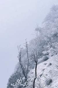 海拔高摄影照片_峨眉山雪景雾气