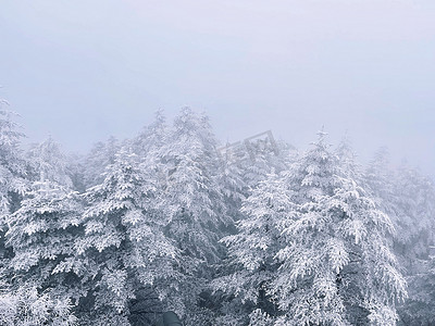 峨眉山雪景雾气