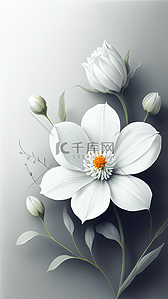质感白色花卉壁纸