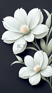 质感白色花卉壁纸