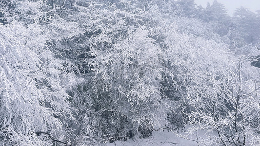 海拔高摄影照片_峨眉山雪景雾气